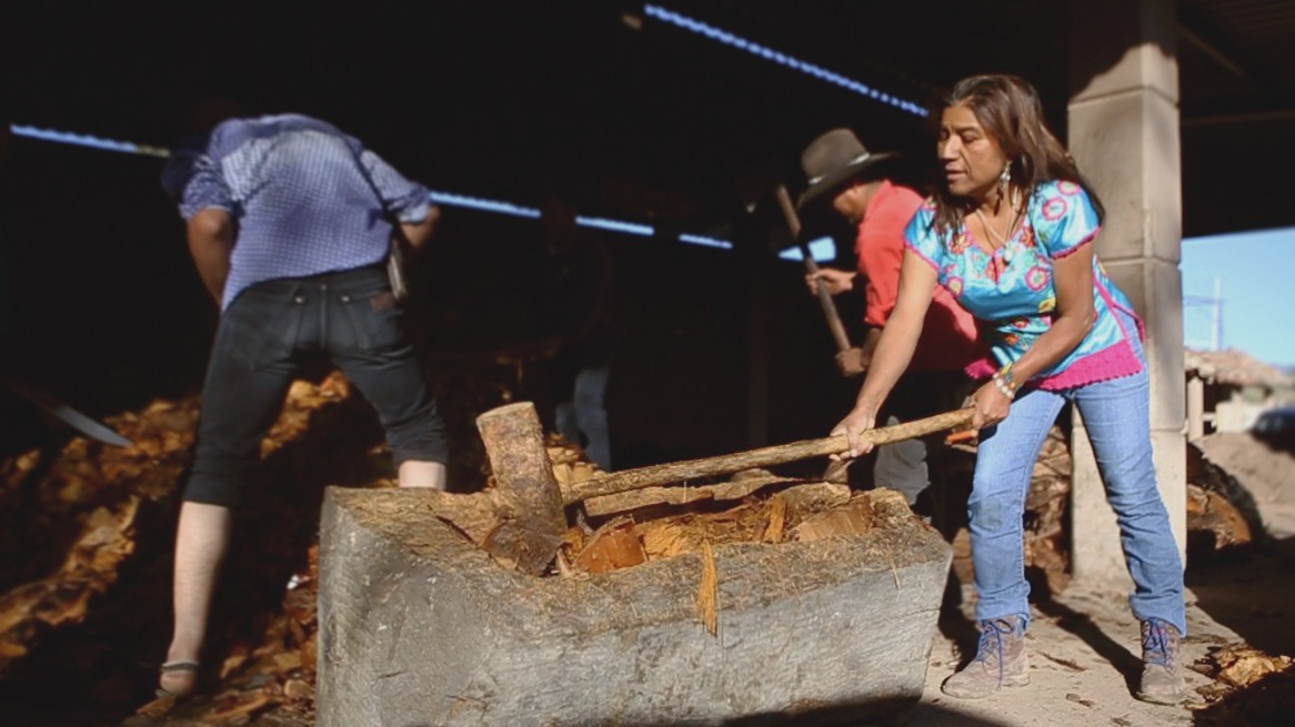 Las mujeres participamos en la elaboración de mezcal: Olivera Aguilar
